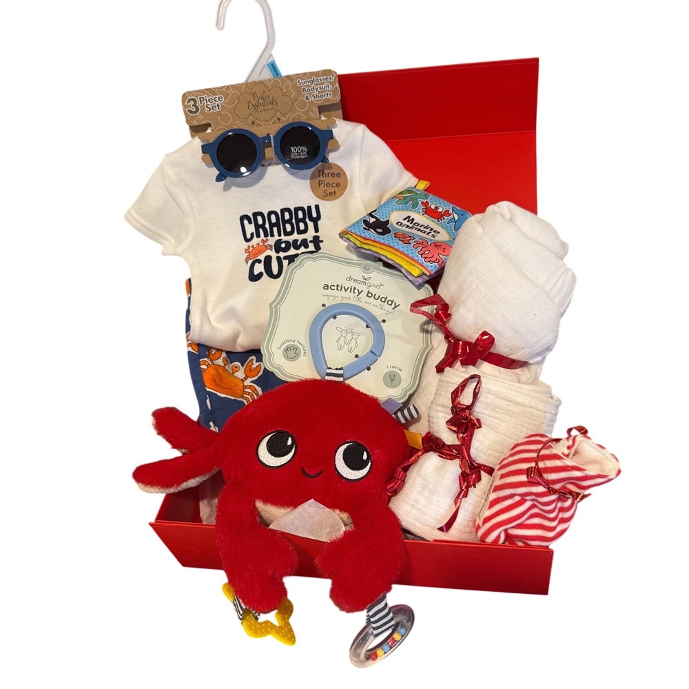 Baby Essentials 6M Crabby But Cute Outfit Set Dreamgro Plush Nautical Gift Box